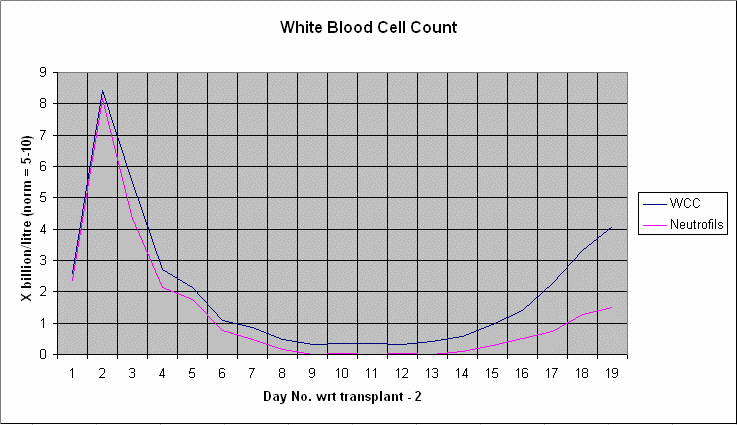 White Blood Count